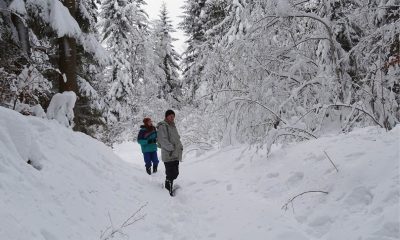 Cub Tracks has no need to fear