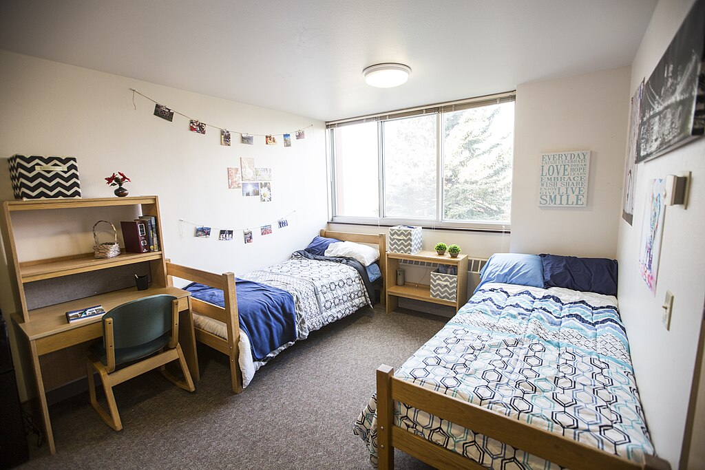 From Dorm Room to Deal Maker