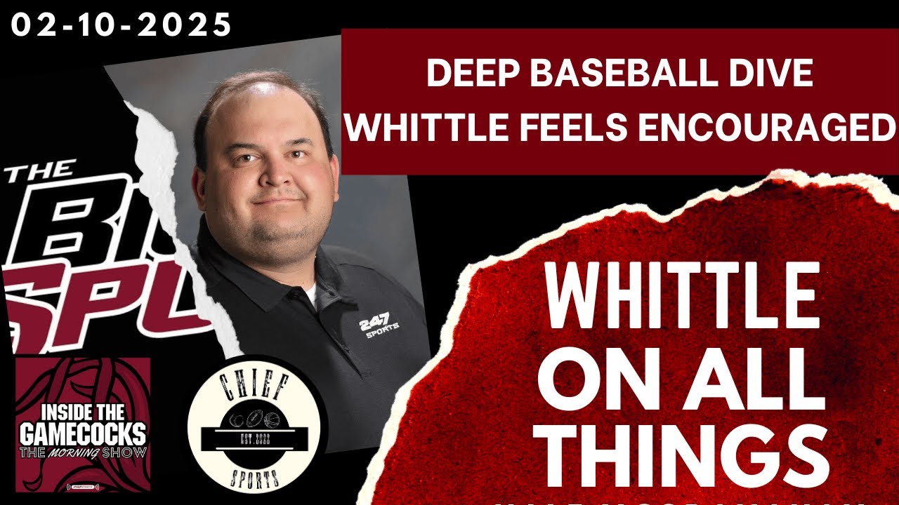 Gamecocks in Minor League Baseball