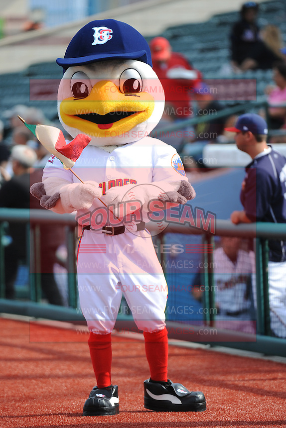 Hudson Valley Renegades Minor League Baseball