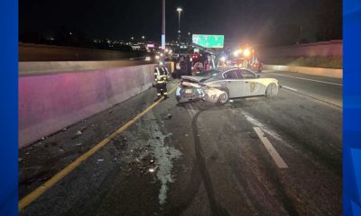 Minor league team in Reno has a rabbit throw out the ceremonial first pitch