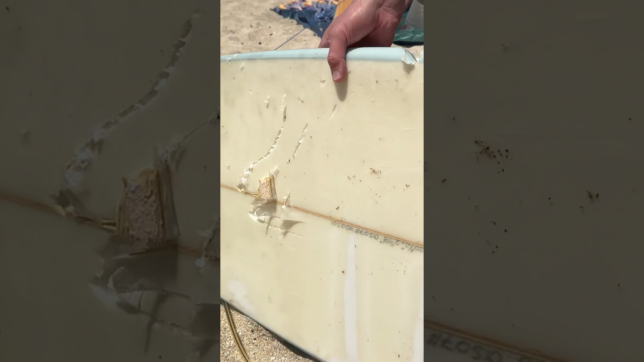 Montara Surfer Escapes Close Encounter With Shark