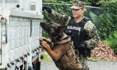 New Texas A&M sharpshooter from Spain has arrived in College Station