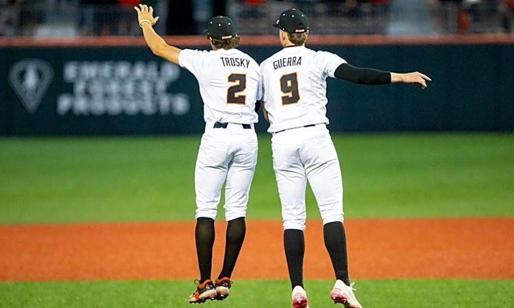 South Carolina baseball to have two more entering transfer portal