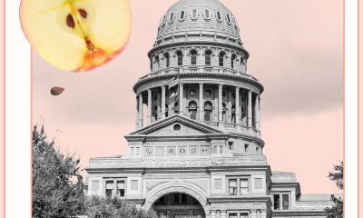 Texas governor signs NIL bill integral to universities in the state