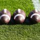 The transfer portal additions for Minnesota Gopher football 2025 roster
