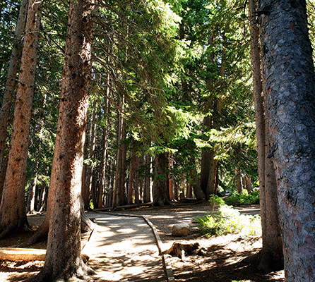 Untamed Spirits, LA's First Women's Sports Bar, Is Opening in Silver Lake