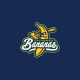 Why Savannah Bananas tickets cost more than a Dodgers