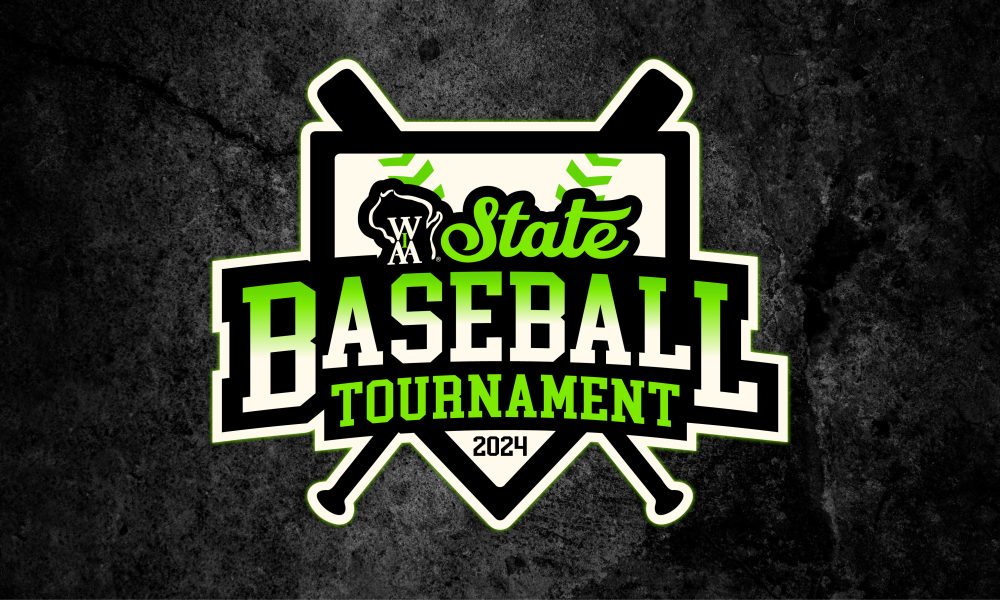 Wisconsin high school baseball WIAA state tournament Day 3 highlights