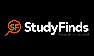 WNBA Rookies Outearning NBA Prospects On Social Media, Study Finds