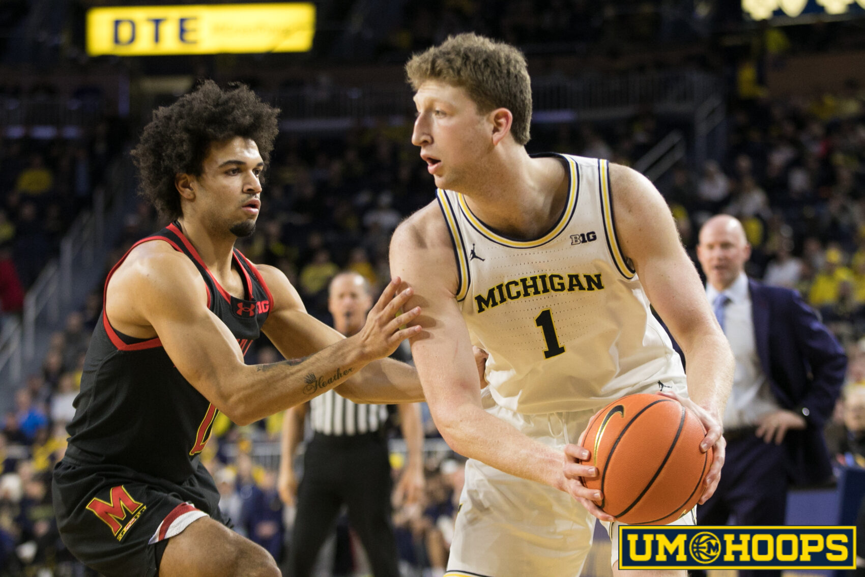 Wolverines Announce 12 Additions to 2025 Roster