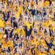 WVU Athletics Launches Gold & Blue Enterprises