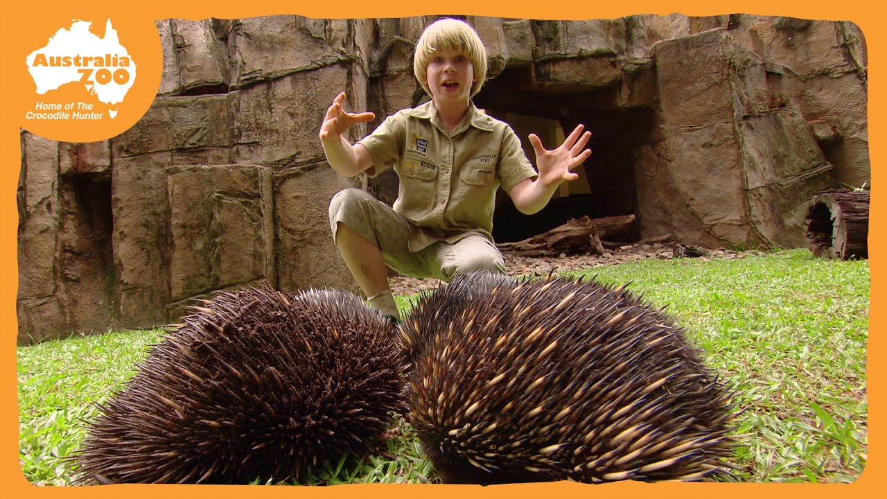 Youngsters experience outdoors at Youth Expo near Owen Sound