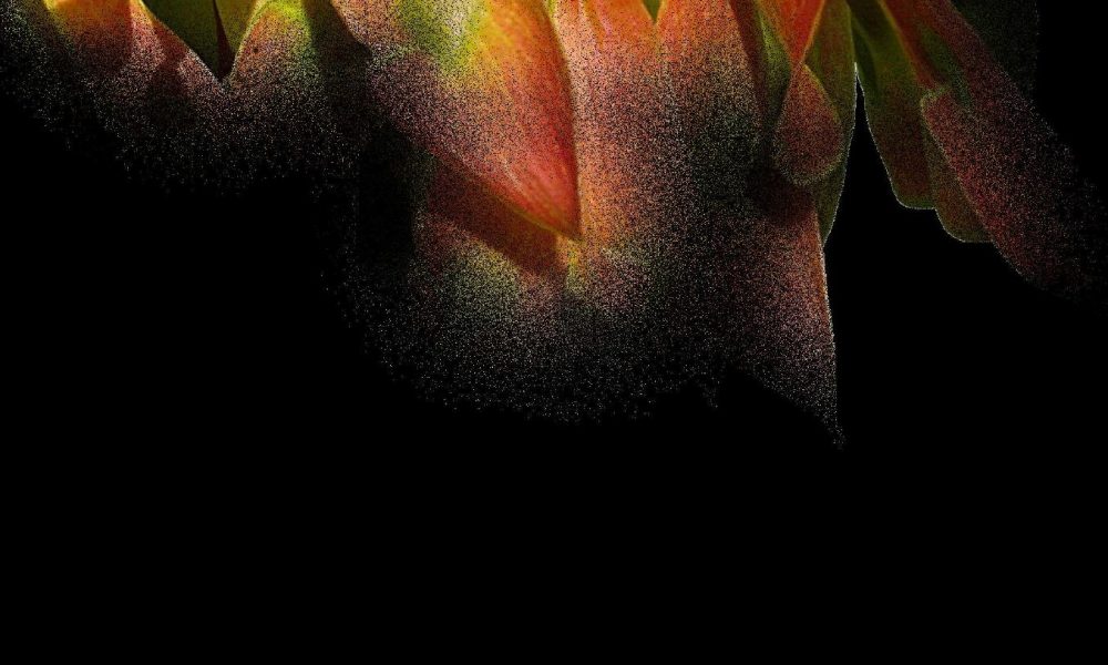 Eight Spiders Named ITA Scholar