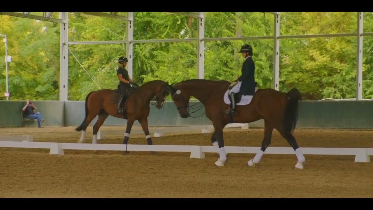 International Dressage Stars to Gather in the Heart of Hungary