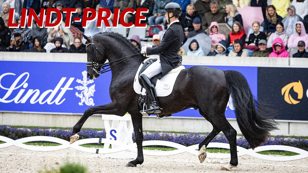 Justin Verboomen and Zonik Plus Deliver Career