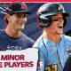 Minor League Roundup