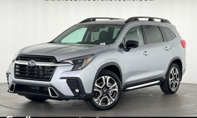 Netflix Ascent Continues