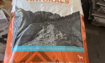 NIL compensation tops $50 million for Texas A&M athletes