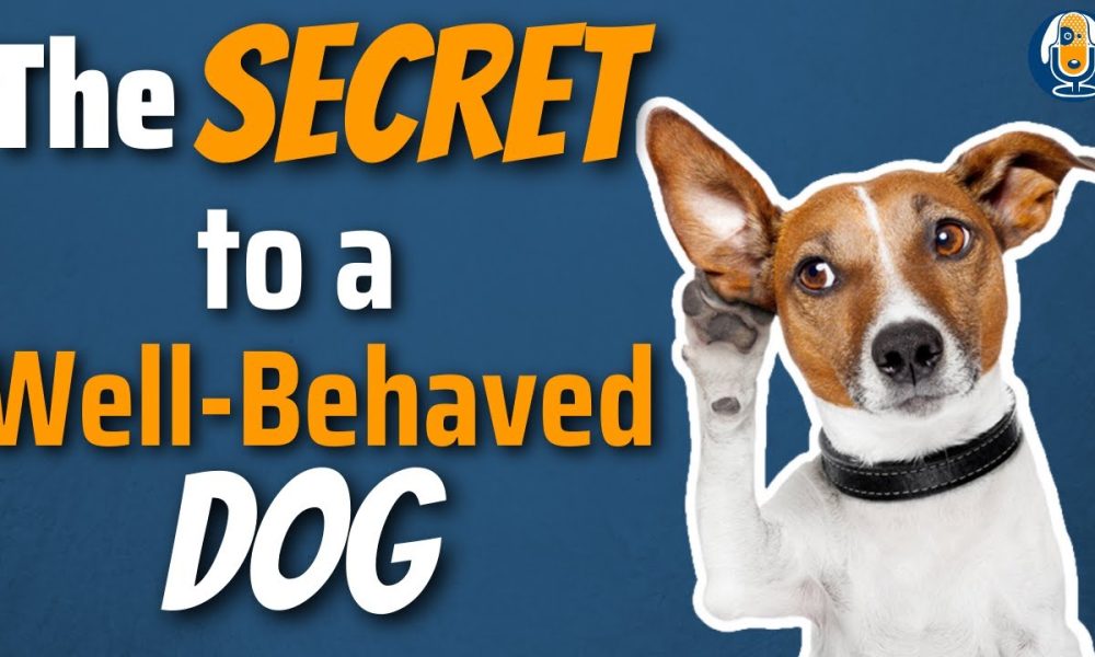 Sitz Earns Multiple Medals At World University Games