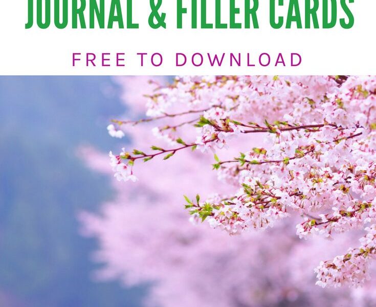 Super Spring For Journal