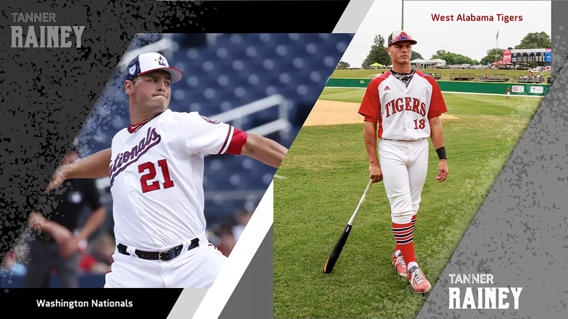 Tigers' Tanner Rainey