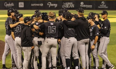 Twins Minor League Report (7/20)