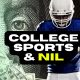 Unregulated NIL, transfers create chaos in college sports