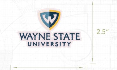 Wayne State to add women's soccer as varsity sport