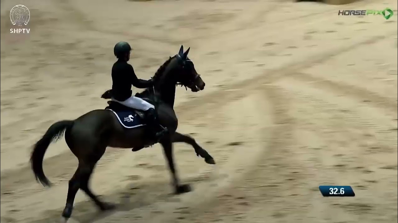 Alex McMartin Earns Combination Title In Brazil