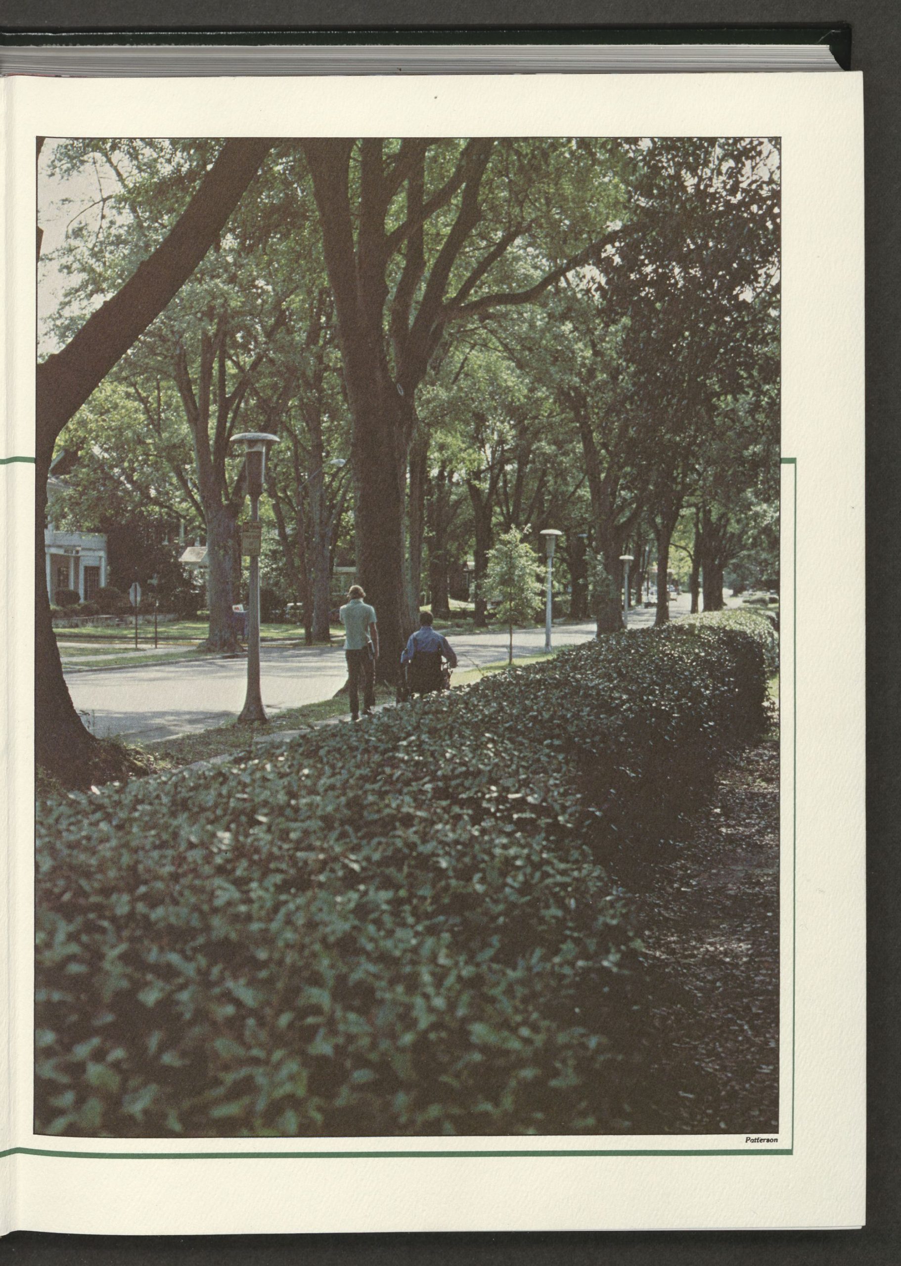 BIRO'S MILESTONE HIGHLIGHTS CANFIELD WIN