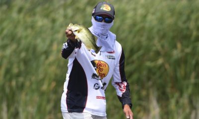 Blue Demons Host Tommies in Sunday Showdown