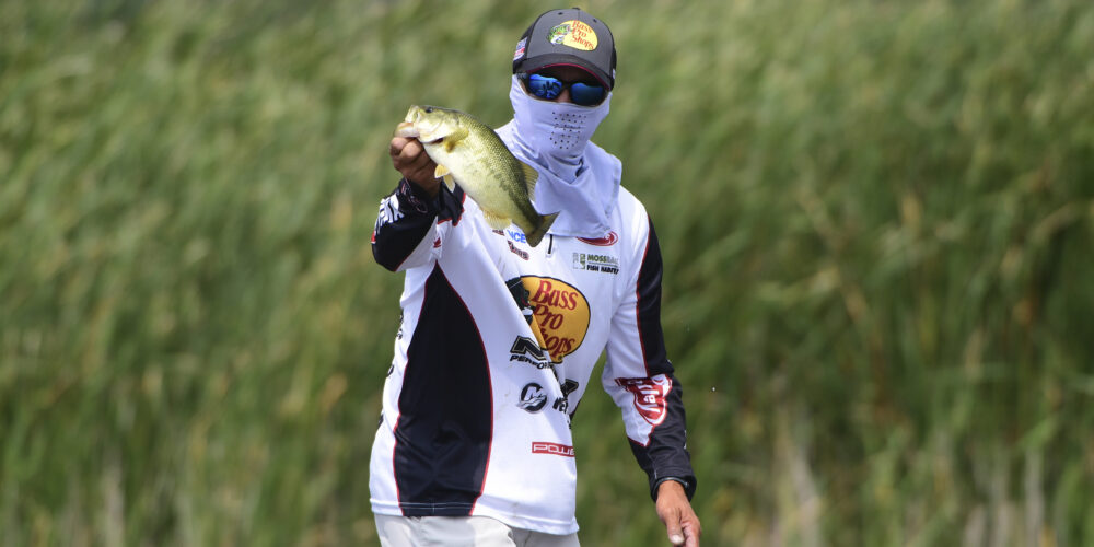 Blue Demons Host Tommies in Sunday Showdown