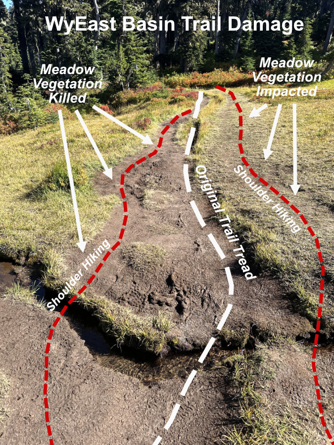 Bobcat Women Face Daunting 2025