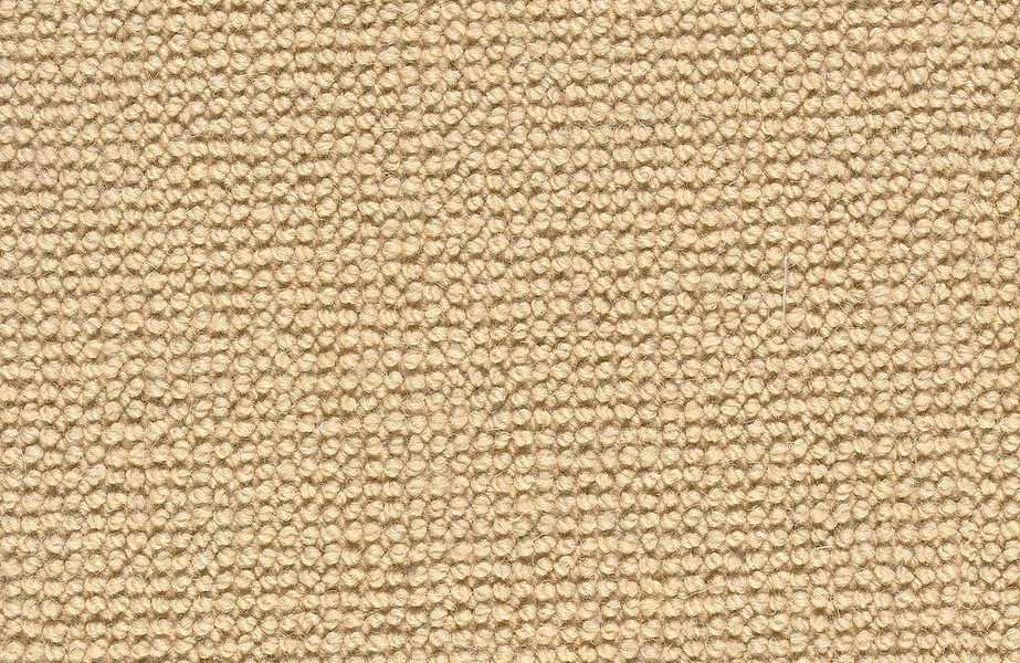 Cooper Flax, Harvey Sarajian Named to 2025 United Soccer Coaches Midfielders to Watch List