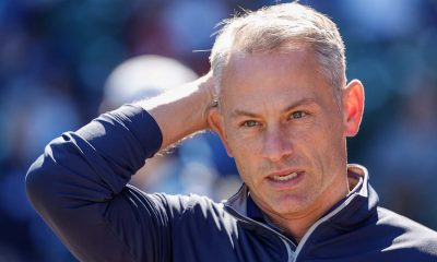 Cubs Minor League Wrap