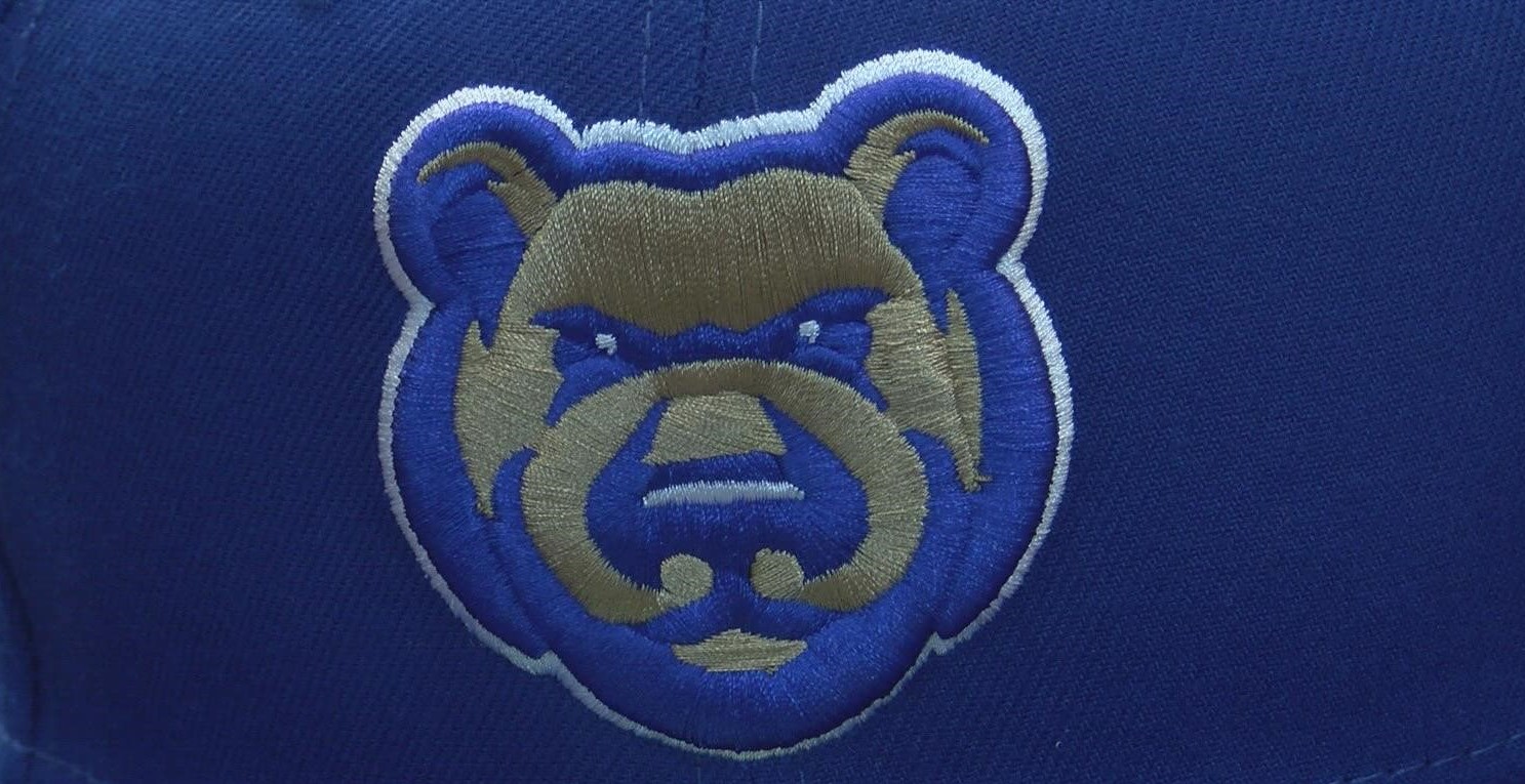 Cubs Minor League Wrap