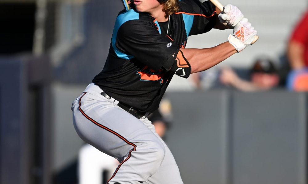 Cubs Minor League Wrap