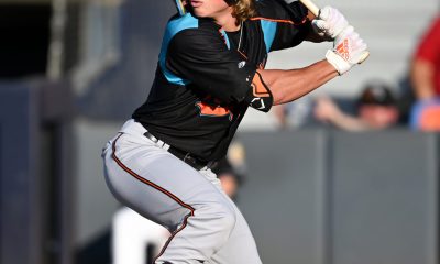 Cubs Minor League Wrap