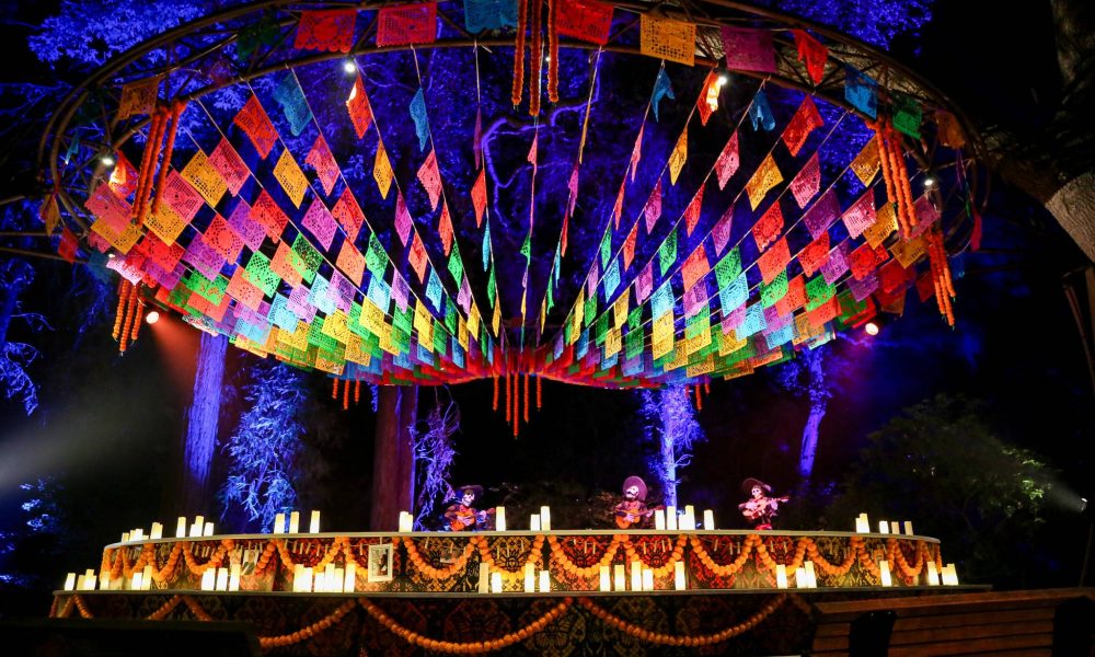 DIAA Announces Partnership with Musco Lighting