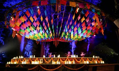 DIAA Announces Partnership with Musco Lighting