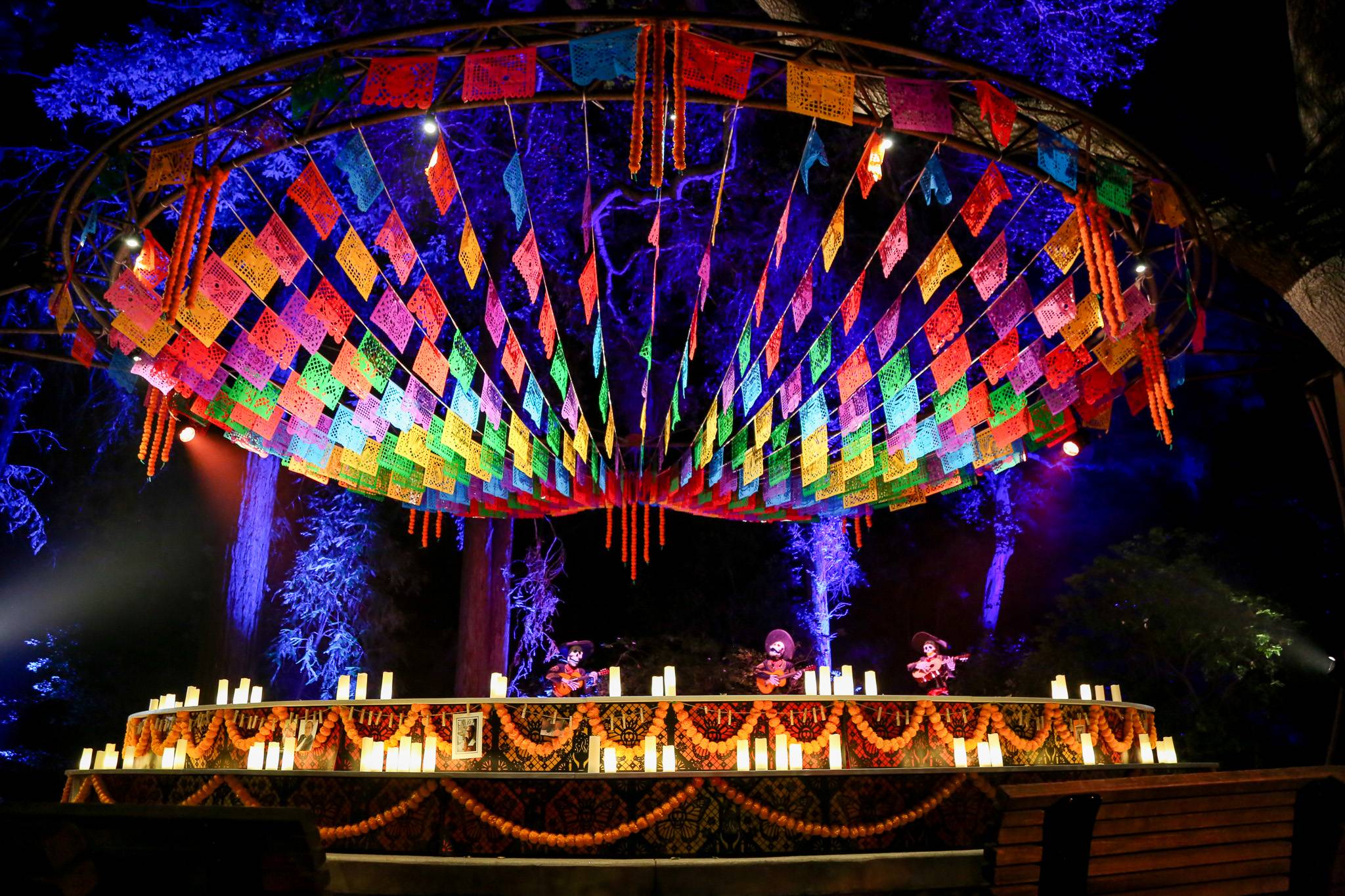 DIAA Announces Partnership with Musco Lighting