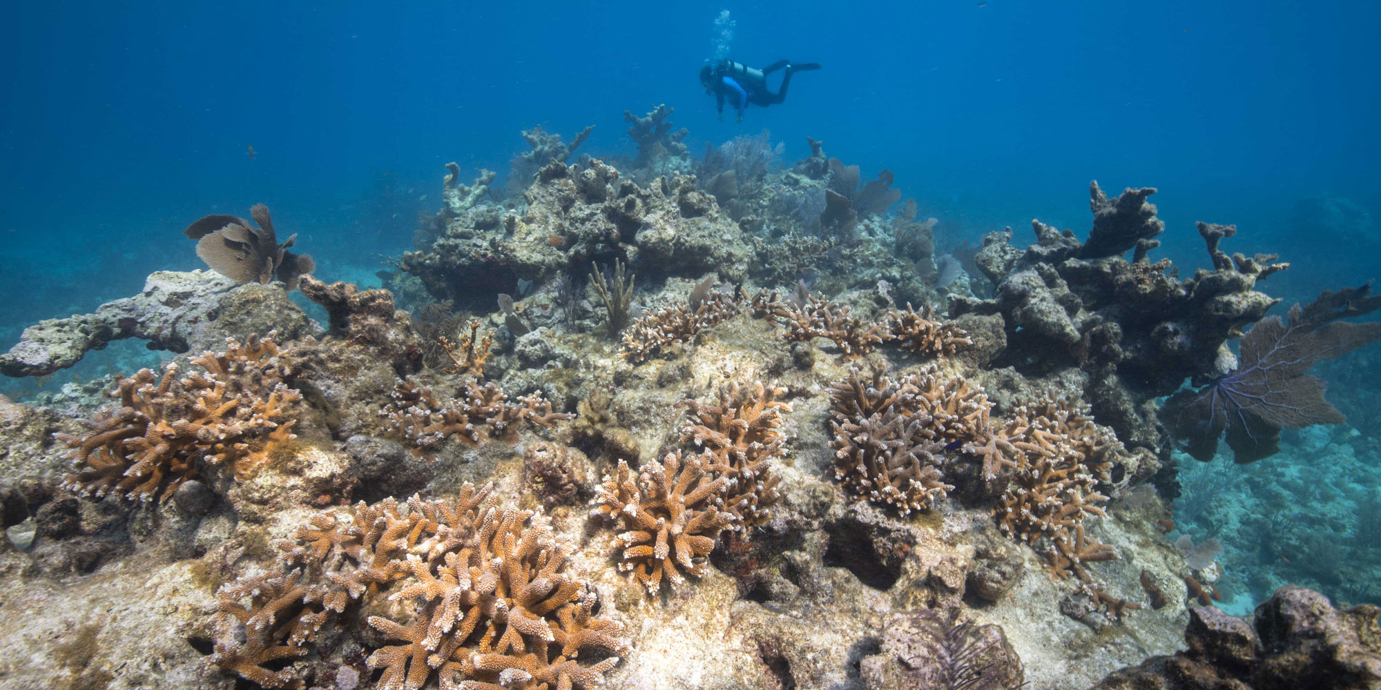 Does the Foundation still exist?