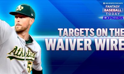 Fantasy baseball waivers