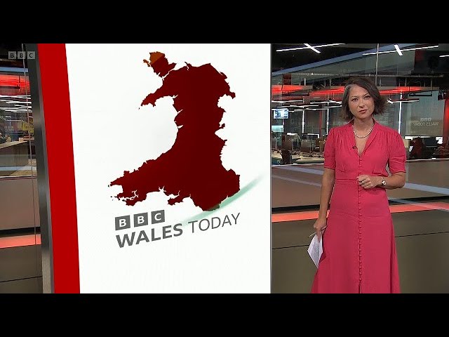 Hobby horse athlete Ada Filppa features in Karen Walker runway show