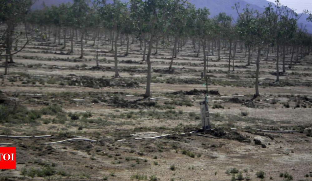 How Indiana plans to be on 'cutting edge' of changing NIL landscape