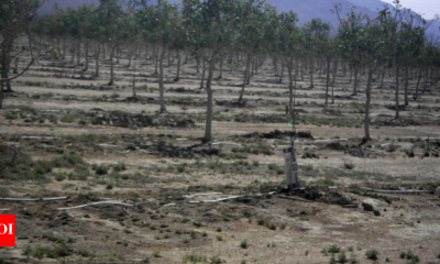 How Indiana plans to be on 'cutting edge' of changing NIL landscape