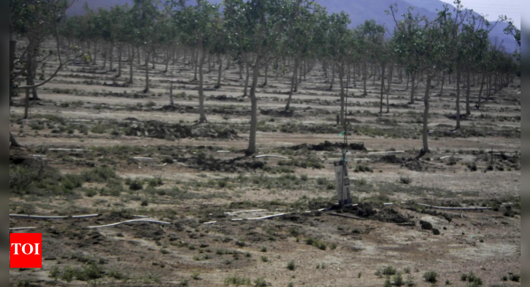 How Indiana plans to be on 'cutting edge' of changing NIL landscape