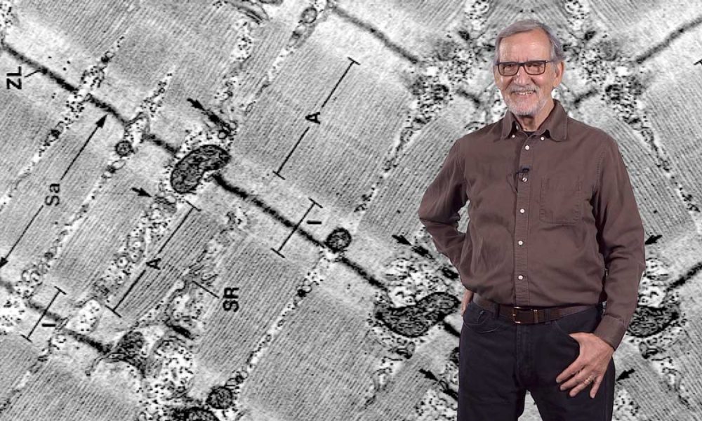 Hugh Freeze compares rev