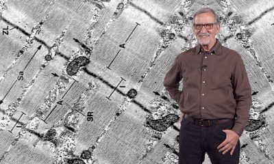 Hugh Freeze compares rev